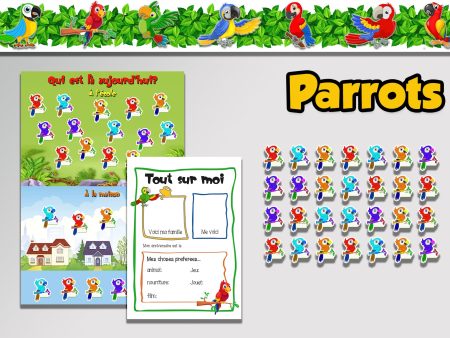 Parrots Classroom theme Sale