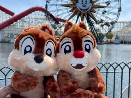 DLR - Big Feet Plush - Chip & Dale (Size M) For Sale