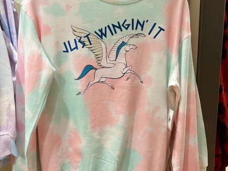 DLR - Fashion Pullover x Pegasus  JUST WINGIN  IT (Adults) For Sale