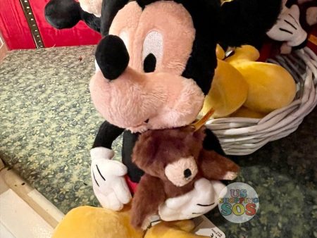 WDW - Steiff Mickey & Teddy Bear Plush Toy on Sale