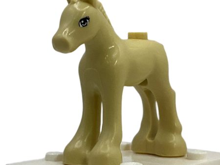 Foal, Tan, 11241pb02 For Cheap