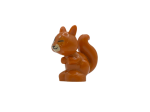 Squirrel with Black, Reddish Brown Winky Face Online