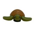 Sea Turtle Baby with Medium Nougat Shell For Discount