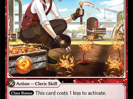 Slash and Burn (231) [Alchemical Revolution Alter Edition] Online Hot Sale